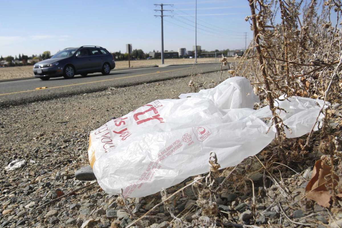 white plastic bag on the side of the road