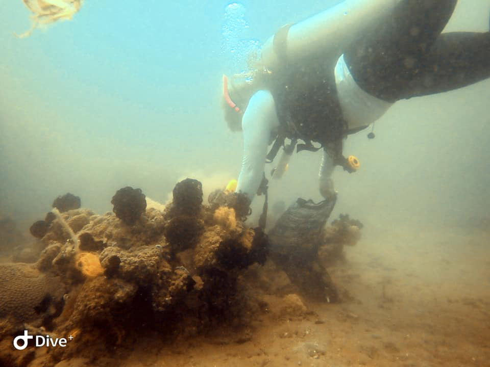 A diver is picking up trash during the #BrandAudit2019 in Davao del sur, Philippines.