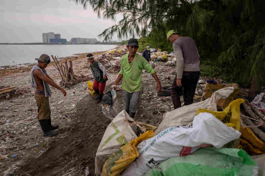 freedom-island-volunteers